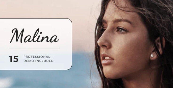 Malina - Personal WordPress Blog Theme
