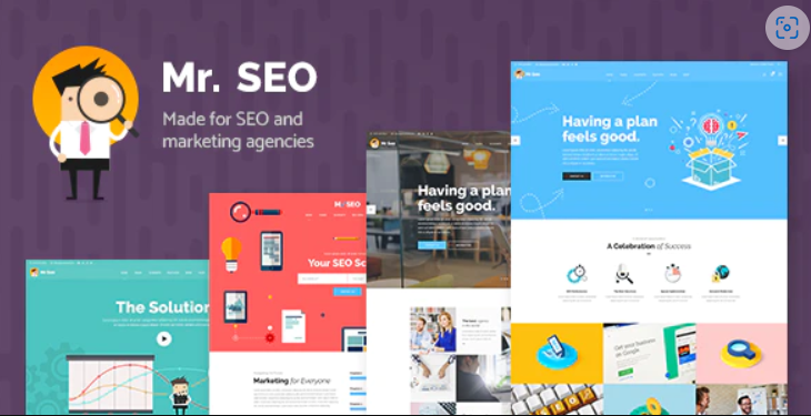 Mr. SEO - Social Media Marketing Agency Theme