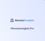 MonsterInsights Pro